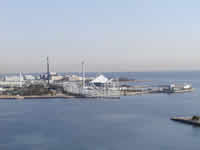 ���i���V�[�p���_�C�X